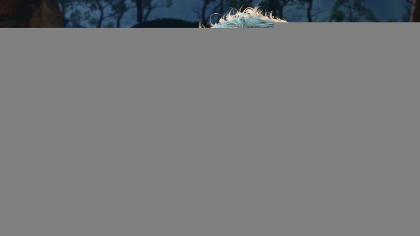 Larian по-прежнему не заинтересована в Baldurʼs Gate 4 — студия не хочет самоповторов